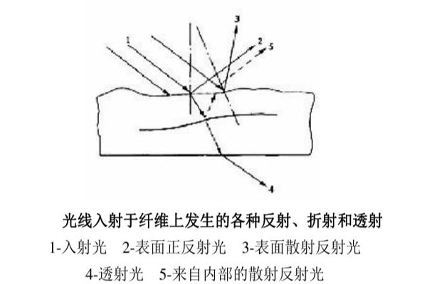 光線入射于纖維上發(fā)生的各種反射、折射和透射